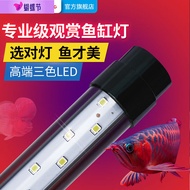 【SG Discount sale - Fast Air package mail delivery 】Minjiang Fish Tank Light Arowana Lights MulticolorLEDLamp Lighting G