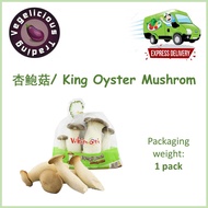 Fresh King Oyster Mushroom/ 杏鲍菇 per pack Fresh Vegetables