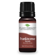 Plant Therapy Frankincense Serrata Essential Oil