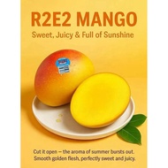 “Premium Australia R2E2 Mango – Extra Large, Juicy, Low-Fibre & Beautiful Red Blush” 澳大利亚R2E2芒果超大超甜无