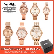 •Original•Coach Delancey Rose Gold Stainless Steel LADIES WOMEN WATCH JAM TANGAN WANITA PEREMPUAN•