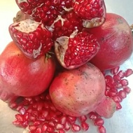 buah delima merah uk besar perbuah