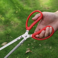 Eel Catcher, Snake Catcher, Seafood Catcher - Fishing Tackle -IP888