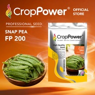 (500 GRAM) Biji Benih Kacang Pis Leper Belanda Doremi 豆来米 FP200 CROP POWER Flat Pea Seed 荷兰扁豆种子 FP 2