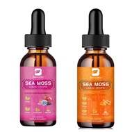 B BEWORTHS Sea Moss Liquid Drops - Black Seed Oil & Irish Sea Moss Gel - Organic Tumeric Irish Sea M
