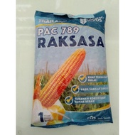 Benih Jagung hibrida PAC 789 RAKSASA ADV JAGO 1Kg Pacific Seeds