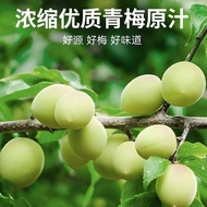 Probiotic Enzyme Green Plum Juice Dinner Happy Eat Chang Drink Intestinal Prebiotics 0 Fat Enzyme Dr