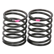 R107045 @ARC Shock Spring 0.24g Pink (2pcs)