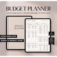 Digital Financial Budget Planner - Finance Tracker, GoodNotes Budget, Undated Monthly Budget, iPad F