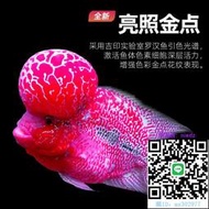 魚缸燈吉印羅漢魚專用燈紅色led水增艷燈RGB成魚幼苗專業增紅觀賞發色燈水族燈