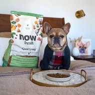 【狗主食】now 雞肉 小型成犬 高湯天然糧 乾濕兩吃 狗飼料 狗糧