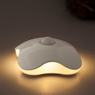 Motion sensor night light night light/ body auto motion sensor