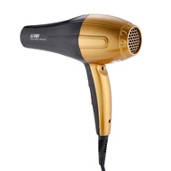 Guowei GW - 690 Electric Professional Salon Hair Blow Dryer