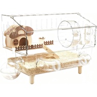 Sangkar Hamster - Habitat Mangkuk Makanan Akrilik Lapisan Dua Lapisan Lutsinar |   Sangkar untuk Ham