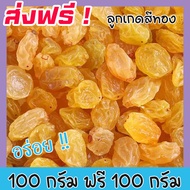 🚀 ส่งฟรี 💥 ซื้อ 1 ฟรี 1 ลูกเกดสีทอง พร้อมทาน เกรด A Golden Raisins คุณภาพดี (ขนาด 100กรัม ฟรี 100กรัม) ไม่มีส่วนผสมของน้ำตาล เหมาะสำหรับทุกวัย Premium Quality Products ลูกเกดสีเหลือง ลูกเกดเหลือง เกดเหลือง ลูกเกดทอง