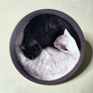 Black White Sleeping Cat Crystal Carving Ceramic Water Absorbent Coaster Ceramic Coaster