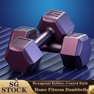【SG STOCK】Home Dumbbells, Non-Slip Dumbbells 5KG 10KG Gym Dumbbells