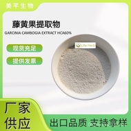 Manufacturer Hydroxybrid Citric Acid Extract High-Quality Ready Stock HCA Garcinia Cambogia Powder 6