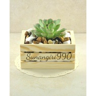 MINI WOODEN CRATE BOX SUCCULENT WOODEN CRATE TOY CRATE CHILDREN'S TOY STORAGE BOX