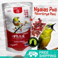 SEMPATI Berry Fruity Probird Pakan Pleci Voer Pur Mini Pelet Pellet Import Makanan Burung Pleci Cucak Kapas Tembak Jalak Wambi Poksay BERYFR