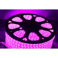 5050 Needle Strip Light 1 roll 100 meters Waterproof