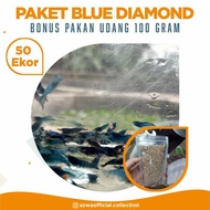 UDANG HIAS AQUASCAPE PAKET BLUE DIAMOND 50 EKOR + BONUS PAKAN