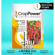 Hot Item🔥 (10 GRAM) Biji Benih Cili Minyak Hot Volcano 火山喷 CL22 CROP POWER F1 HYBRID Chili seeds 辣椒种