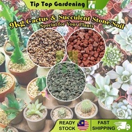 9KG CACTUS AND SUCCULENT STONE SOIL FOR ALL TYPES SUCCULENTS PLANTS BATU
