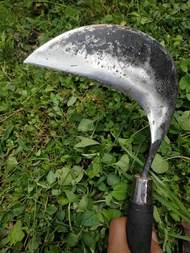alat pertanian ARIT Rumput super tajam asli baja selap SABIT pemangkas rambut ASLI BAJA ISEN