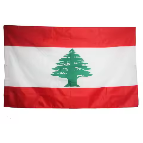 Wave 90 x 150cm Lebanon's national flag hundred percent polyester printed Lebanon flags and banners 