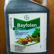 5L Bayfolan / Baja Air / Bayer / Baja Serap melalui daun NPK 11-8-6 / Foliar Fertilizer 叶面肥