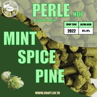 ฮอป ทำเบียร์ Perle Hops T90 แบรนด์ Haas