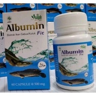 NEW PRODUCT 2026 ALBUMIN FIT PREMIUM 5X FAST POST-SURGERY CURE - SNAKEFISH ALBUMIN EXTRACT