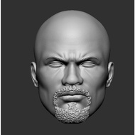 Luke Cage Netflix-Head for Action Figures 3D print model