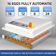 Eggs Incubator Egg Automatic Malaysia Inkubator Penetasan Telur automatik Chicken Egg Hatcher Machin