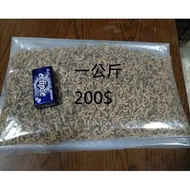 黑水虻  鮮蟲(活體飼料  活餌)1kg  200