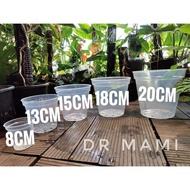 Aroid Exotic Philodendron Orchid Plant Plastic Transparent Clear Flower Pot Transparent Pot