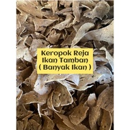 Keropok REJA ( Keropok Hancur ) ke IKAN TAMBAN/PARANG BANYAK IKAN