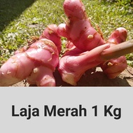 Laja Merah Laos
