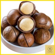 Macadamia 夏威夷果 Kacang Macadamia