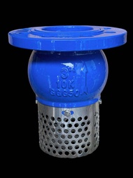 ฟุตวาล์วเหล็กหล่อ 6” “เอสพานา” สปริง SS ตะแกรง SS304