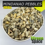 Assorted Mindanao Pebbles  - 1kg (Small)