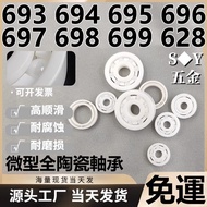 Zirconia All-Ceramic Bearing 693 694 695 696 697 698 699 628 Corrosion Resistant