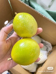 (1kg - 15pcs) Buah Markisa Emas - Panama Passion Fruit Panama Golden Rose 100% Sweet Buah Markisa Ku