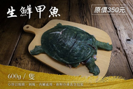 回購率第一 三杯 藥膳 清燉 蒜頭 羊肉爐【台灣鱉】生鮮甲魚 600g/隻 已處理 剁塊脫膜 真空包裝 SGS檢驗合格