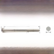 304 Stainless Steel Outer Hexagon Wall Screw Long Bolt Screw Pair Screw Rod M6m8m10m12m16m20