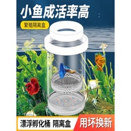 Kotak Inkubasi untuk Ikan Guppy, Ikan Zebra, Ikan Betta, Kotak Pengasingan Pembiakan Akuarium, Bekal