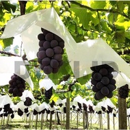 100PCS Payung Anggur Fruit Cover Pembungkus Buah Buahan Pelindung buah Brongsong Buah Mangga Apel An
