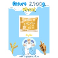 Ensure Wheat เอนชัวร์ กลิ่นธัญพืช แบบถุงเติม ขนาด 2400g