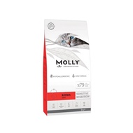 Molly kitten lamb 2kg